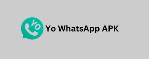 Yo WhatsApp APK