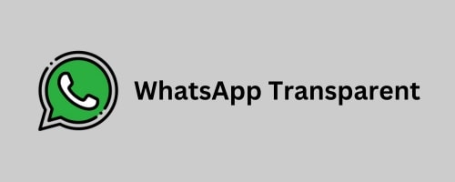 WhatsApp Transparent