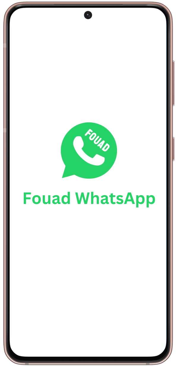 fouad whatsapp